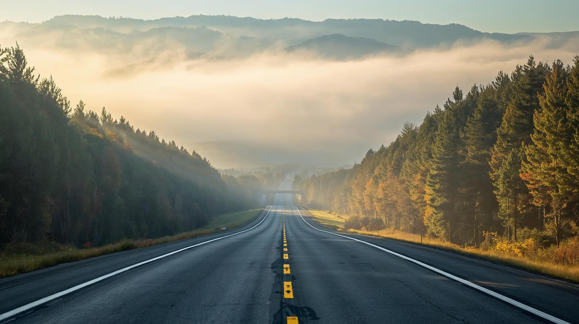 Tập đoàn Sơn Hải gặp khó tại dự án cao tốc “xuyên rừng đẹp nhất” Việt Nam, Lâm Đồng ra chỉ đạo “nóng” - Ảnh 1