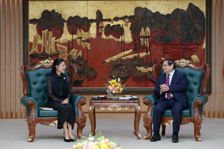 Gặp Đại sứ Thái Lan, Thủ tướng đề nghị nước này đảm bảo cung ứng nhiên liệu cho 1 lĩnh vực của Việt Nam - Ảnh 2