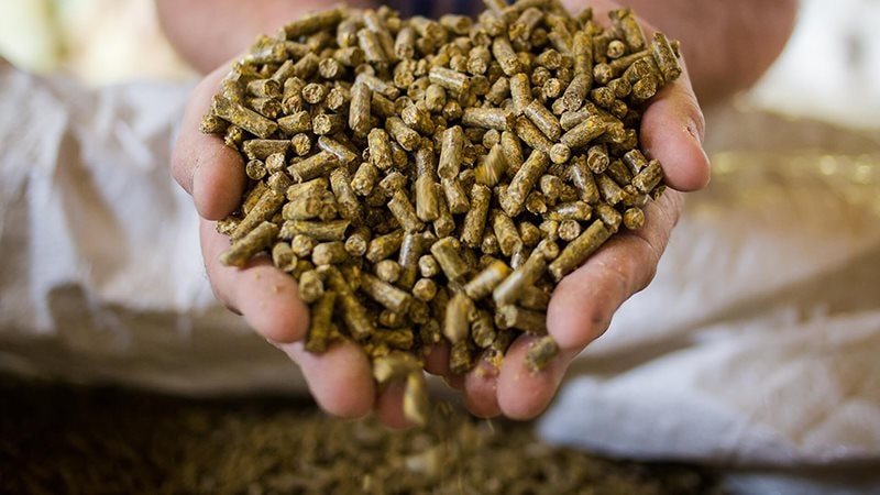 'Mỏ vàng' 250 triệu USD: Loại mặt hàng 'phụ phẩm' của Việt Nam đang được Trung Quốc săn đón ráo riết - Ảnh 1