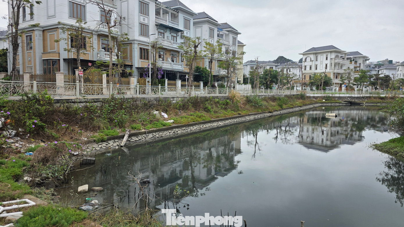 Cận cảnh ‘kênh khu nhà giàu’ ở Quảng Ninh ô nhiễm nặng - Ảnh 8