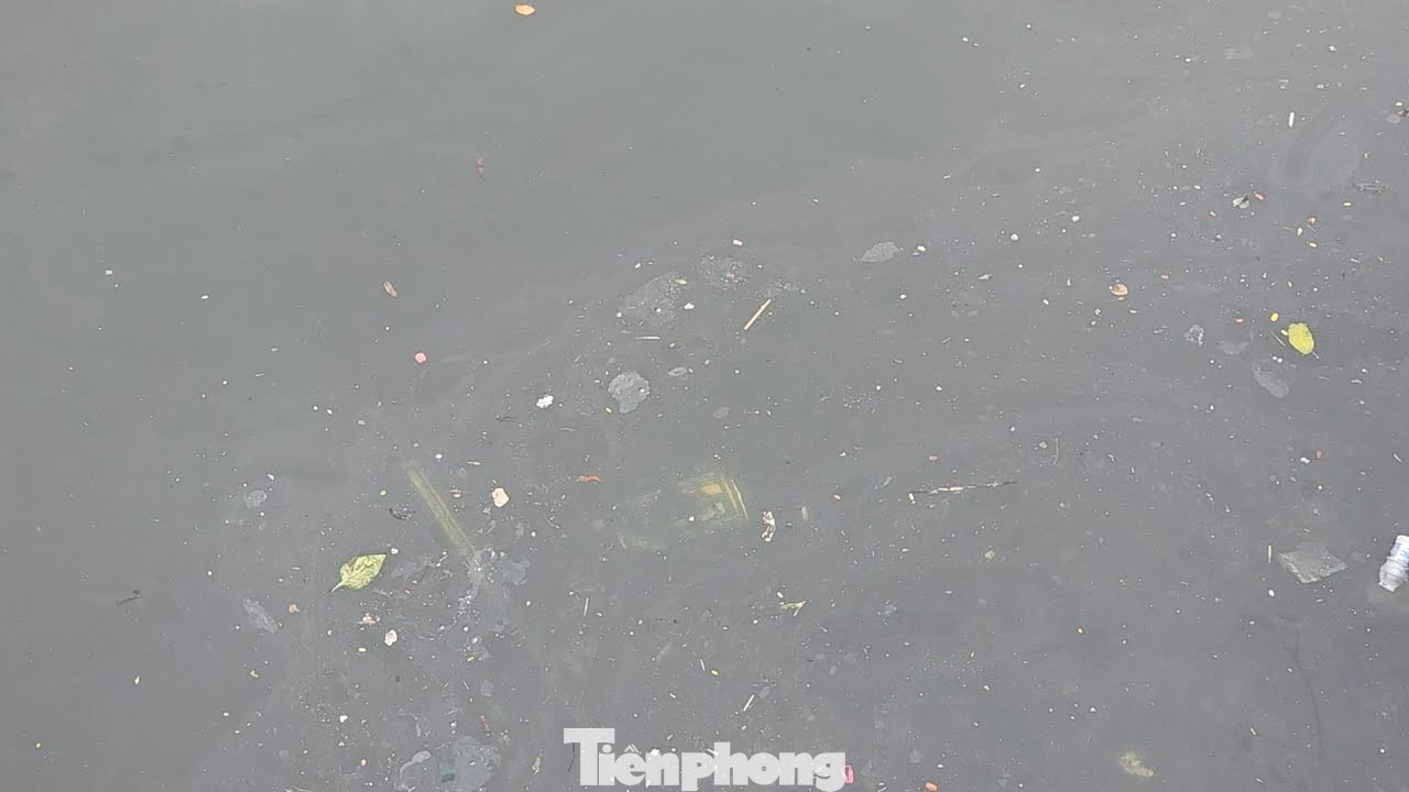 Cận cảnh ‘kênh khu nhà giàu’ ở Quảng Ninh ô nhiễm nặng - Ảnh 5