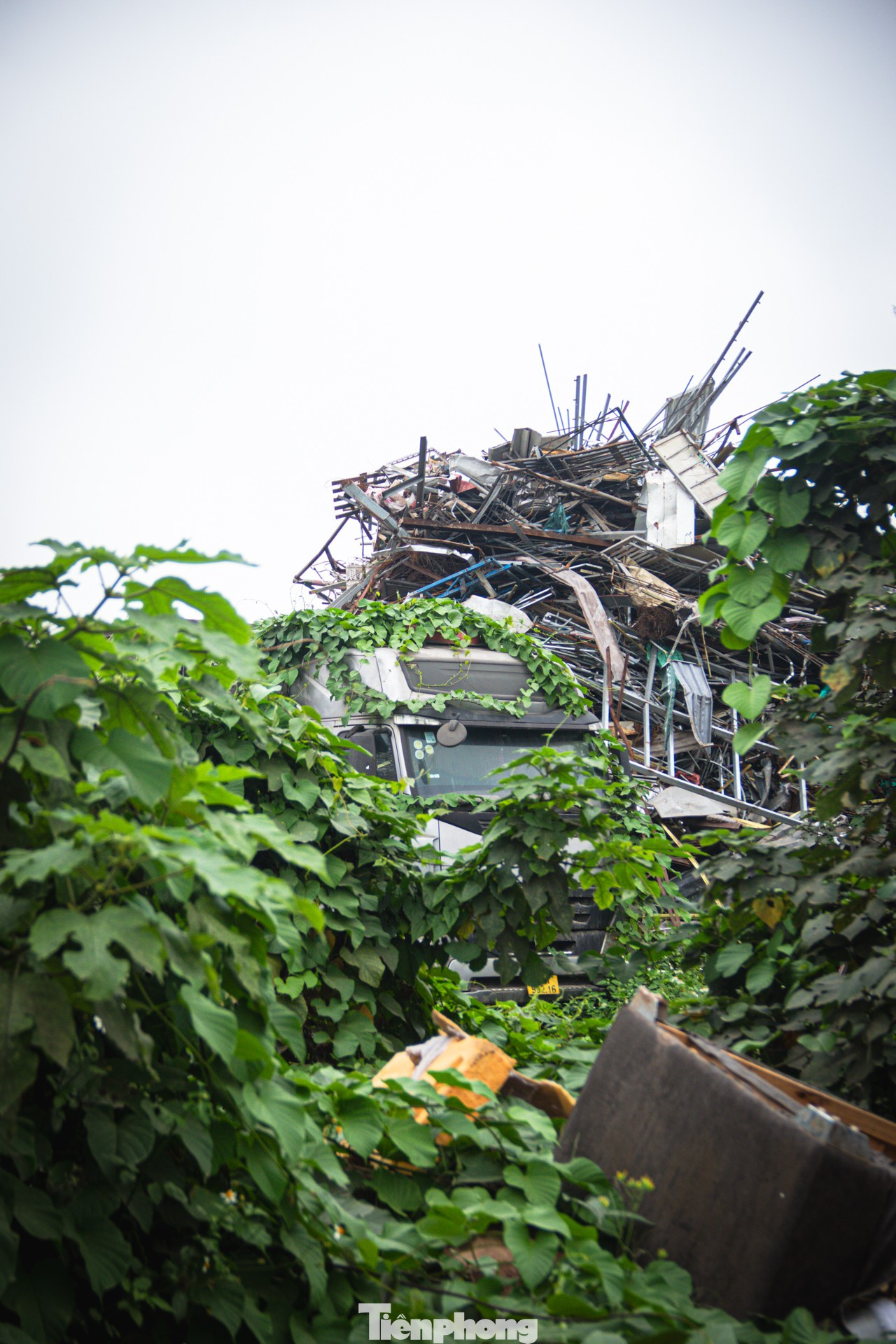 ‘Núi’ phế liệu trên khu đất nông nghiệp rộng 4,3ha ở Hà Nội - Ảnh 5