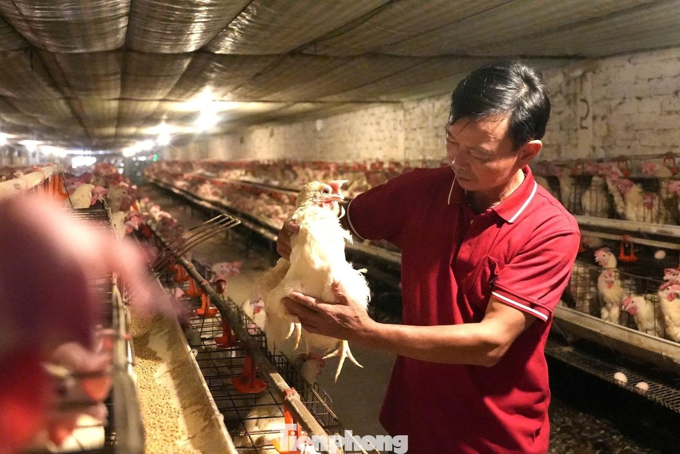 Khởi nghiệp với 5 triệu đồng, anh chủ thu về hàng chục tỷ đồng từ một loài 'quái thú siêu trứng' - Ảnh 1
