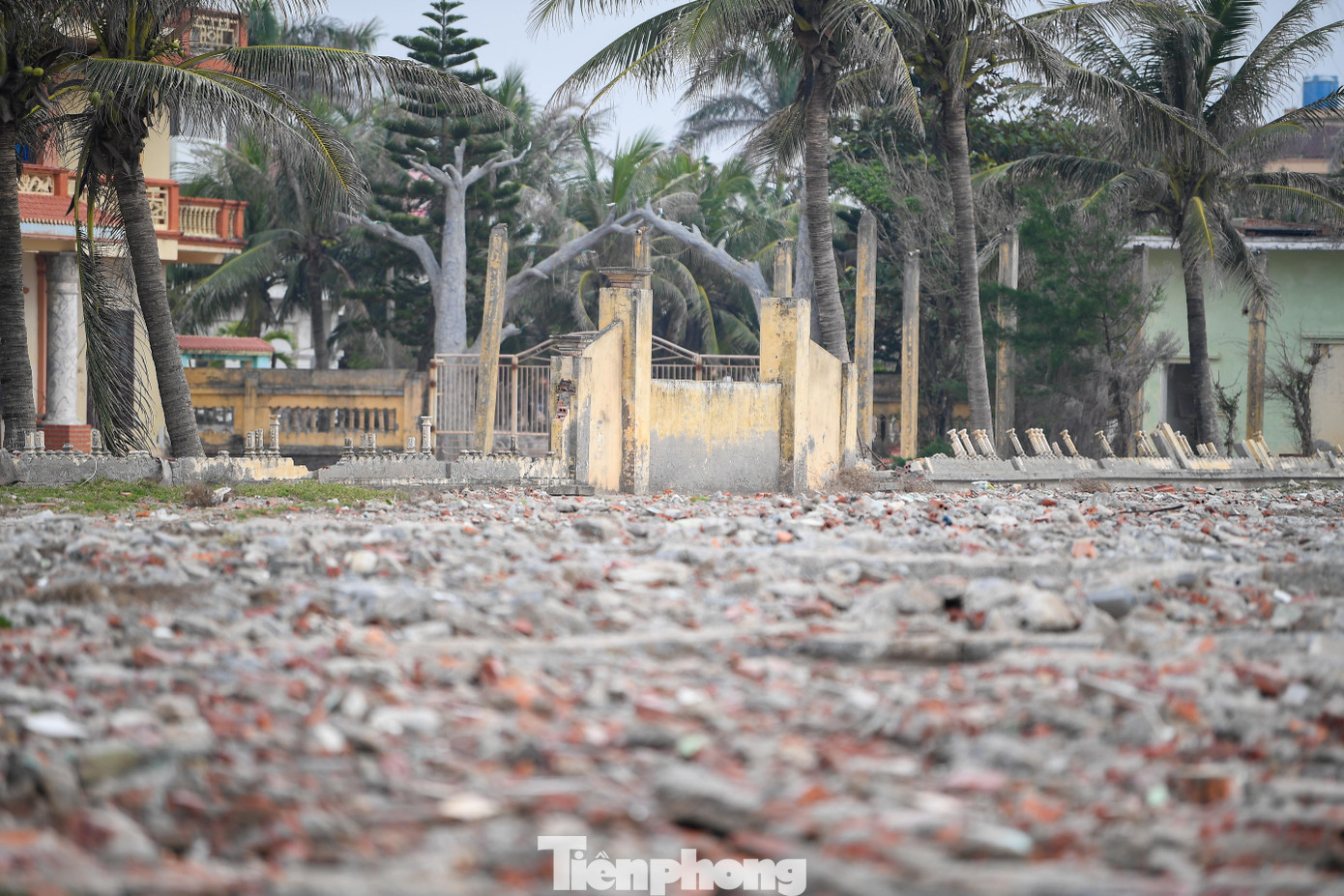 Bãi biển Quất Lâm trước kế hoạch 'lột xác' thành thiên đường du lịch - Ảnh 5