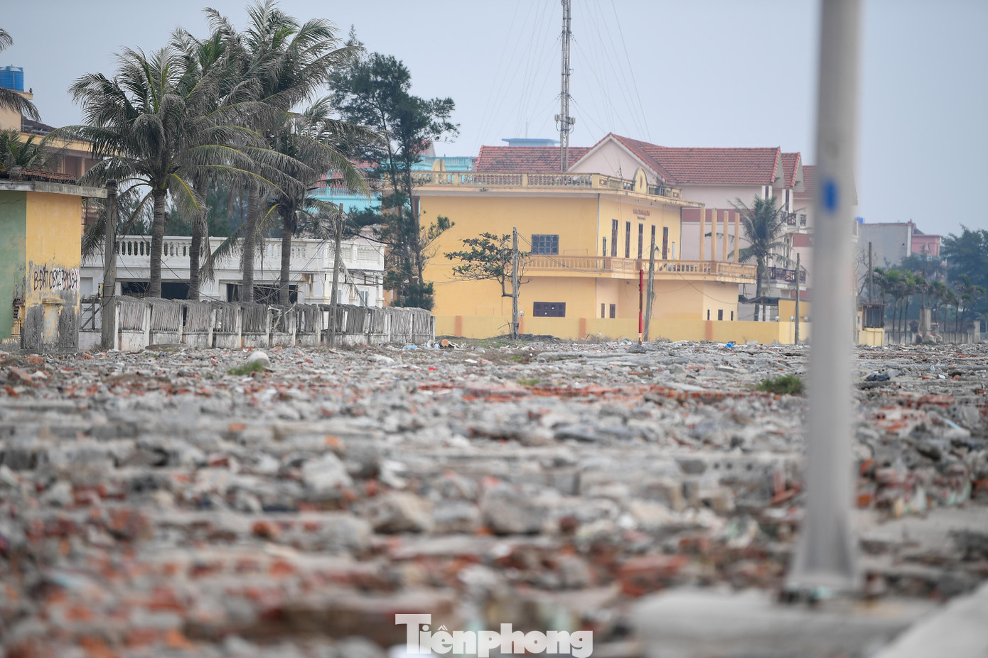 Bãi biển Quất Lâm trước kế hoạch 'lột xác' thành thiên đường du lịch - Ảnh 3