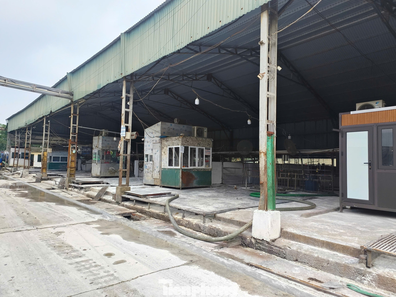 Tận thấy lò mổ gần 300 tấn lợn bệnh ở Hà Nội - Ảnh 8