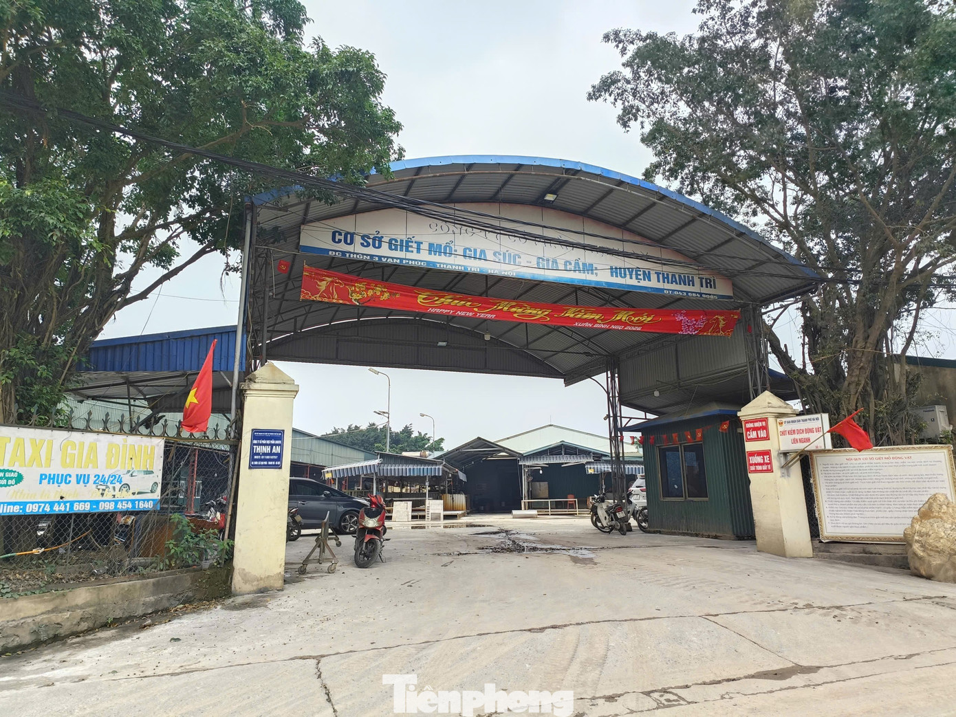 Tận thấy lò mổ gần 300 tấn lợn bệnh ở Hà Nội - Ảnh 4