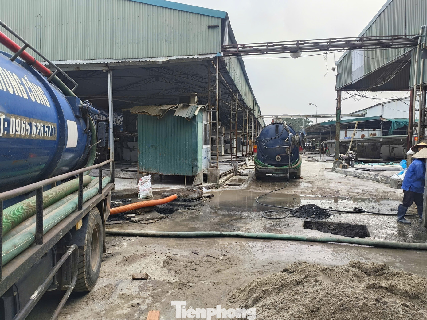 Tận thấy lò mổ gần 300 tấn lợn bệnh ở Hà Nội - Ảnh 2