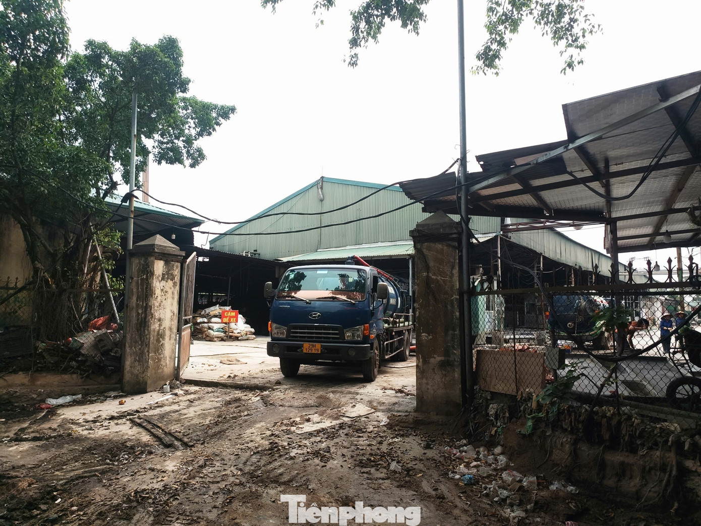 Tận thấy lò mổ gần 300 tấn lợn bệnh ở Hà Nội - Ảnh 3