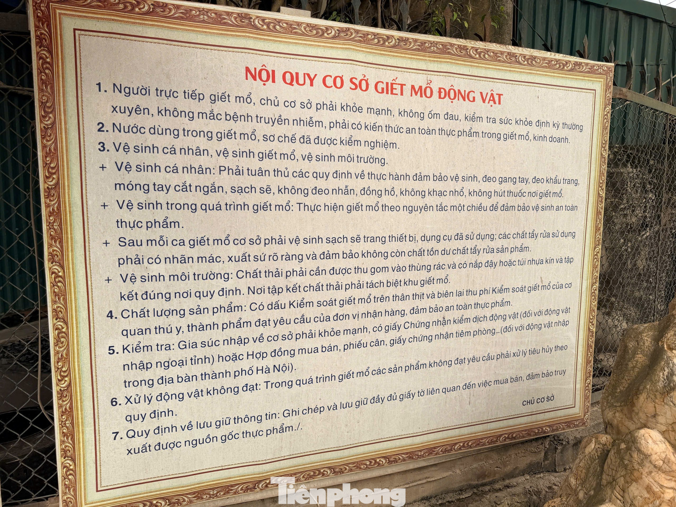 Tận thấy lò mổ gần 300 tấn lợn bệnh ở Hà Nội - Ảnh 5