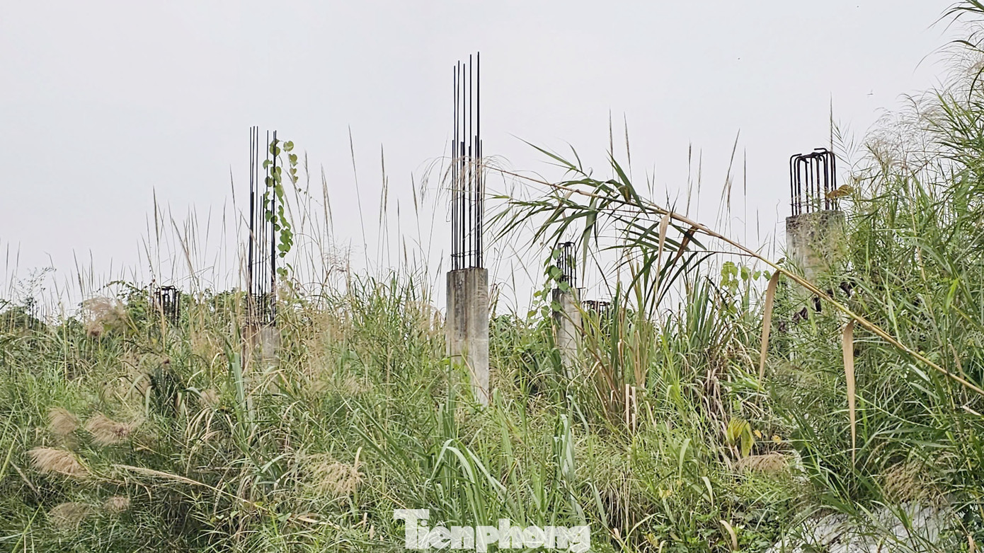 Chủ dự án 88 Central 'lật kèo' sau 6 năm ôm đất: Chuyển đơn đến công an giải quyết - Ảnh 10