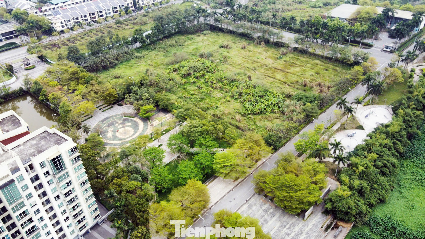 Chủ dự án 88 Central 'lật kèo' sau 6 năm ôm đất: Chuyển đơn đến công an giải quyết - Ảnh 9