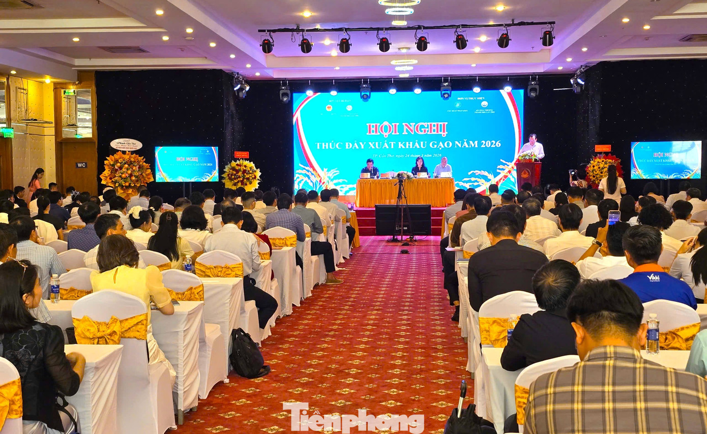 Lúa gạo rớt giá: Đừng 'đổ thừa' do chiến sự Trung Đông! - Ảnh 3