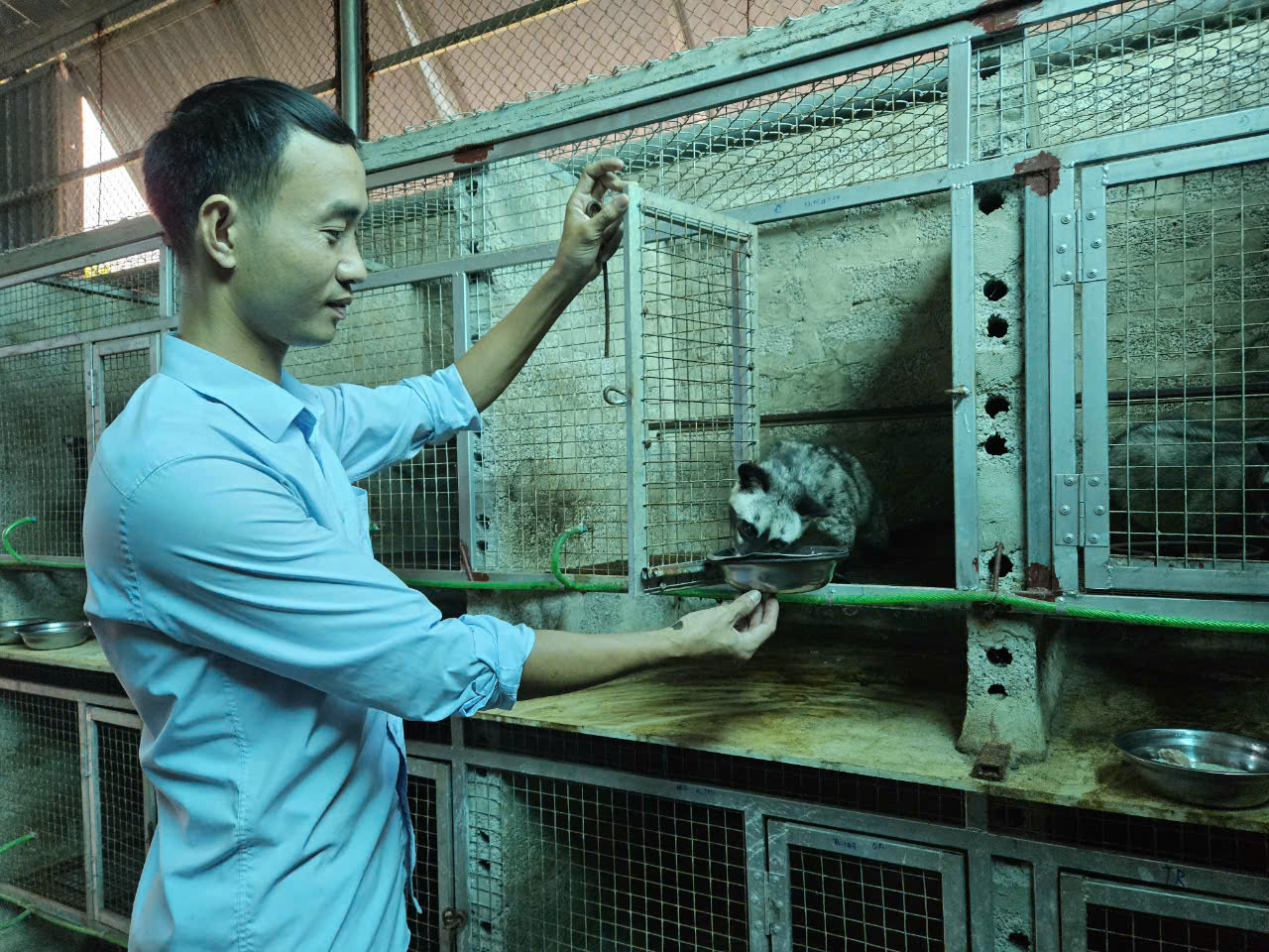 Anh kỹ sư xây dựng bỏ phố về quê nuôi con 'hiền như đất', nhẹ nhàng kiếm hơn 1 tỷ đồng/năm - Ảnh 1