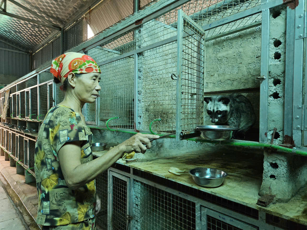 Anh kỹ sư xây dựng bỏ phố về quê nuôi con 'hiền như đất', nhẹ nhàng kiếm hơn 1 tỷ đồng/năm - Ảnh 2