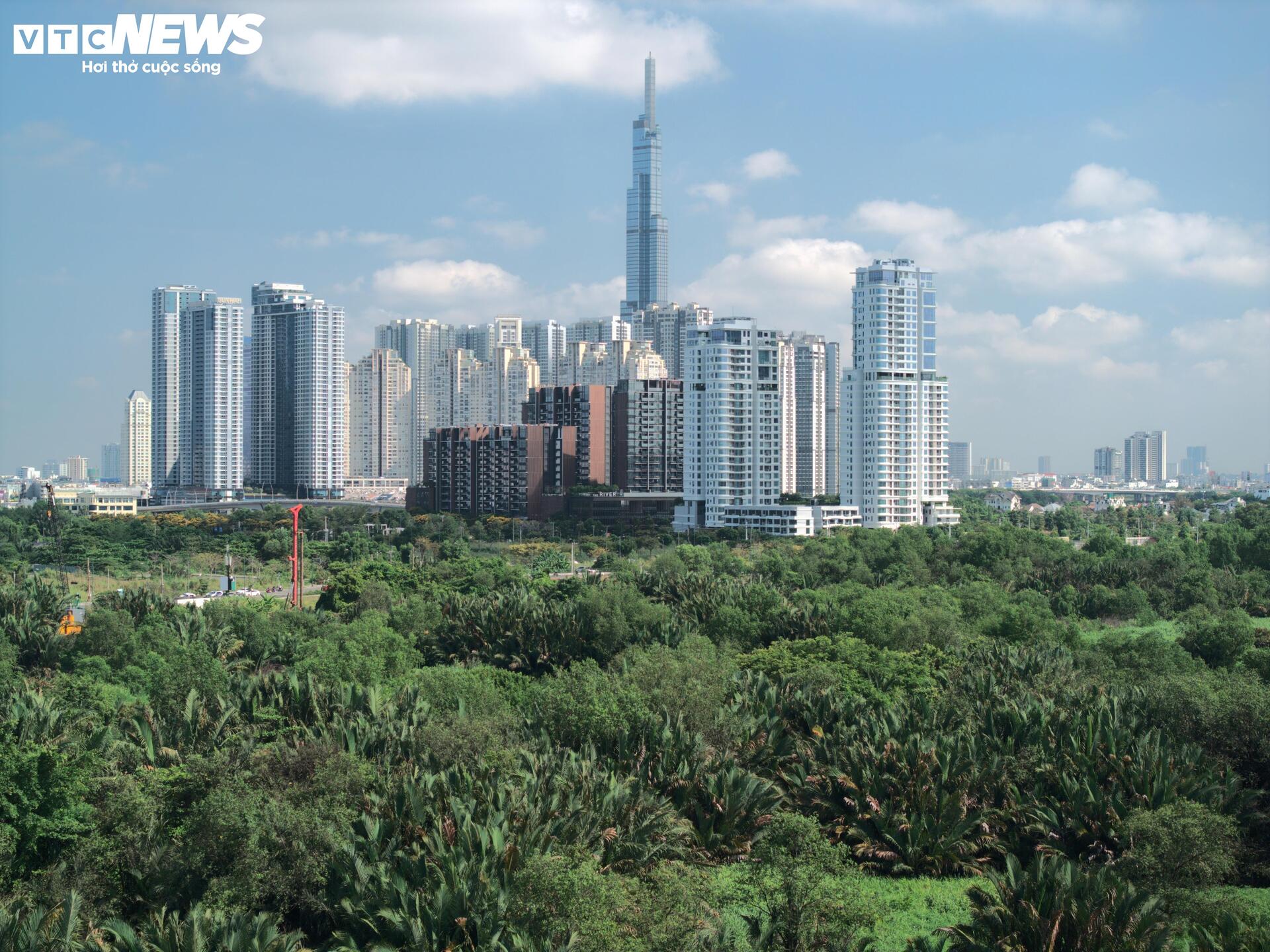 Cận cảnh vị trí sắp xây trung tâm hành chính mới của TP.HCM - Ảnh 3