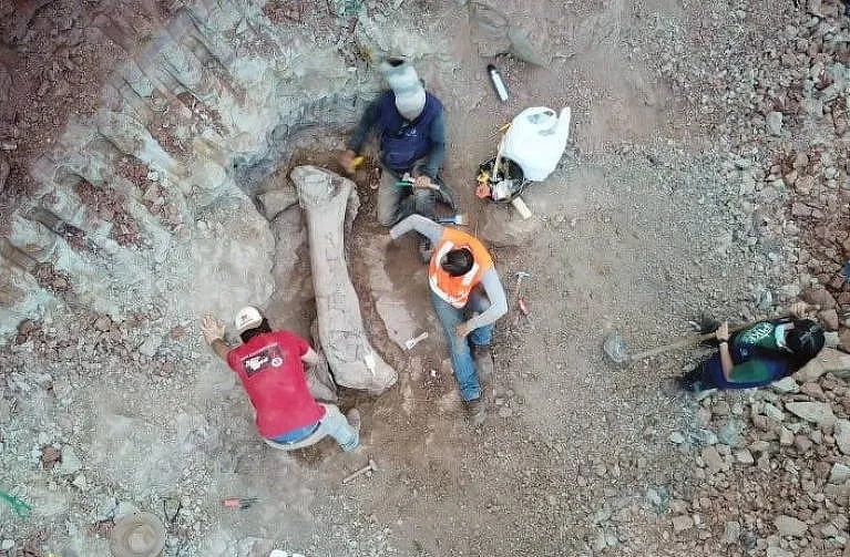 Quái vật dài 20 m "trỗi dậy" giữa công trình đường sắt - Ảnh 1