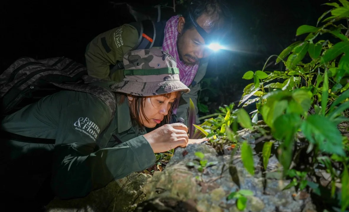 Lộ diện một loạt sinh vật chưa từng biết từ hang động Campuchia - Ảnh 1