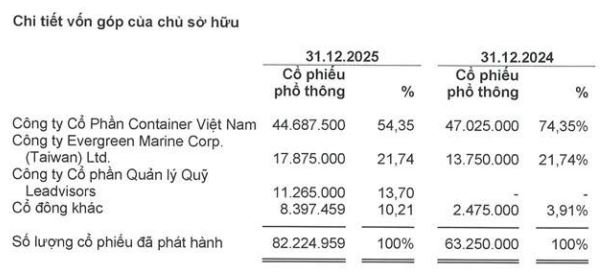 Công ty con của Viconship lên kế hoạch lợi nhuận 'đi lùi', niêm yết cổ phiếu trên HoSE - Ảnh 1