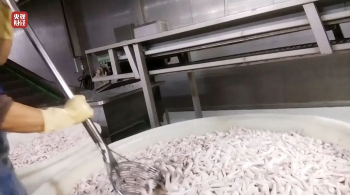 Bên trong xưởng sản xuất chân gà "hot trend" Trung Quốc: Tẩy trắng bằng oxy già và hàng tấn hoá chất, chân gà chất đống trên nền đất bẩn - Ảnh 5