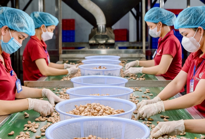 Doanh nghiệp xuất khẩu căng mình ứng phó rủi ro từ chiến sự Trung Đông - Ảnh 1