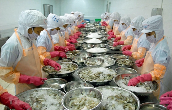 Doanh nghiệp xuất khẩu căng mình ứng phó rủi ro từ chiến sự Trung Đông - Ảnh 3