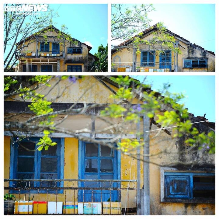 Cận cảnh biệt thự, khu nhà đất 'vàng' bỏ hoang, lãng phí ở Ðà Lạt - Ảnh 6