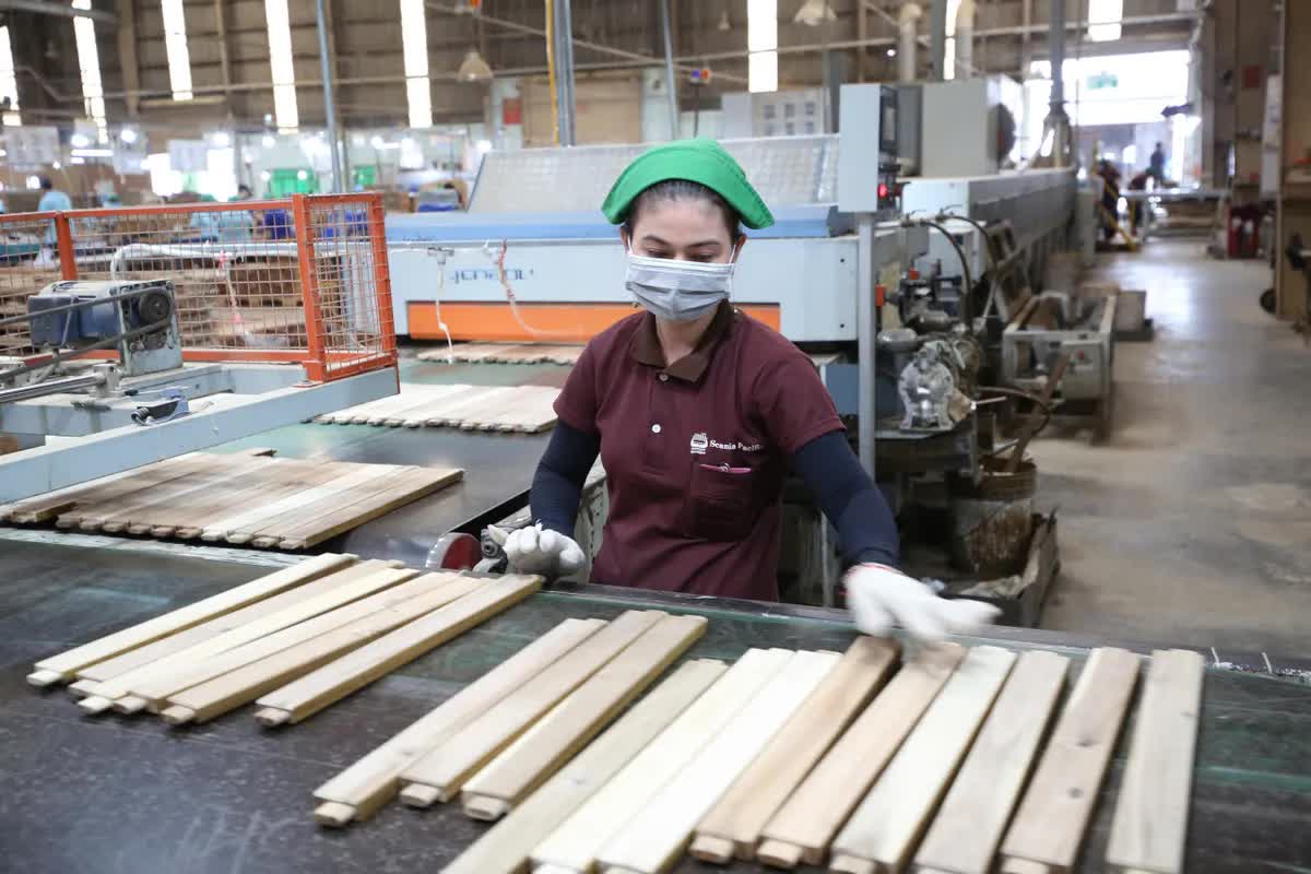 TP Hồ Chí Minh: 22% doanh nghiệp chế xuất điều chỉnh sản xuất nhằm giảm tác động chi phí nhiên liệu - Ảnh 1