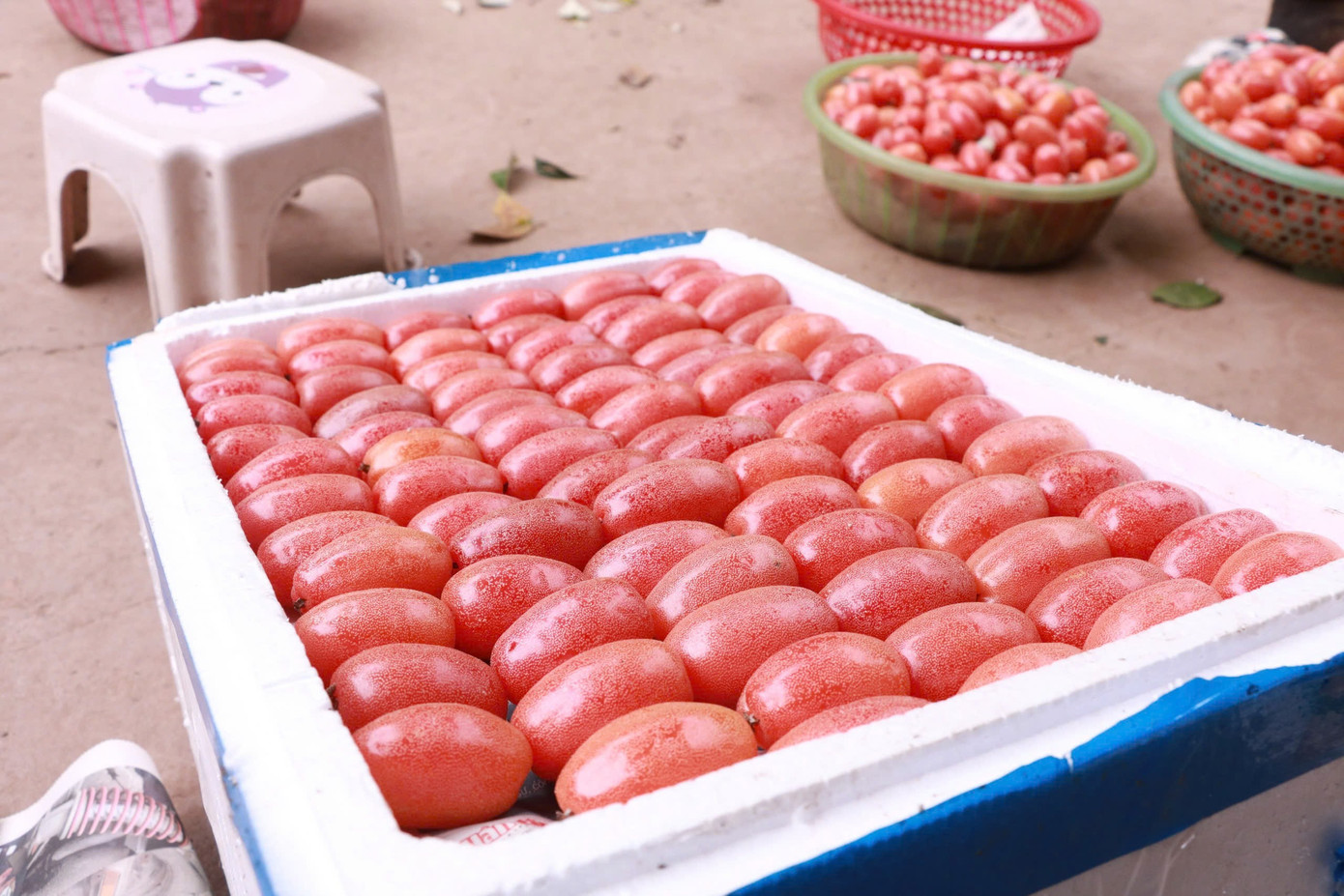 Thủ phủ nhót ở Hà Nội mất mùa, rớt giá - Ảnh 7