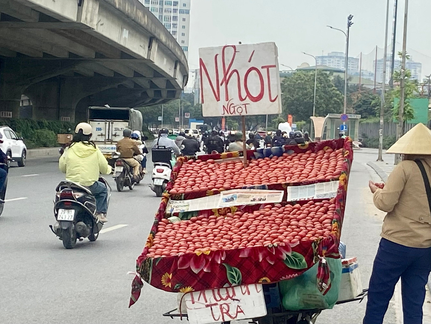 Thủ phủ nhót ở Hà Nội mất mùa, rớt giá - Ảnh 13