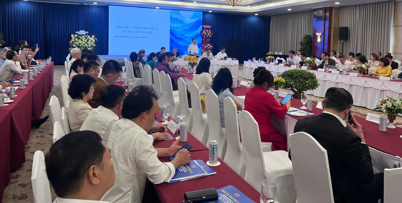 25 tỷ USD từ đâu sắp 'rót' vào Gia Lai? - Ảnh 1