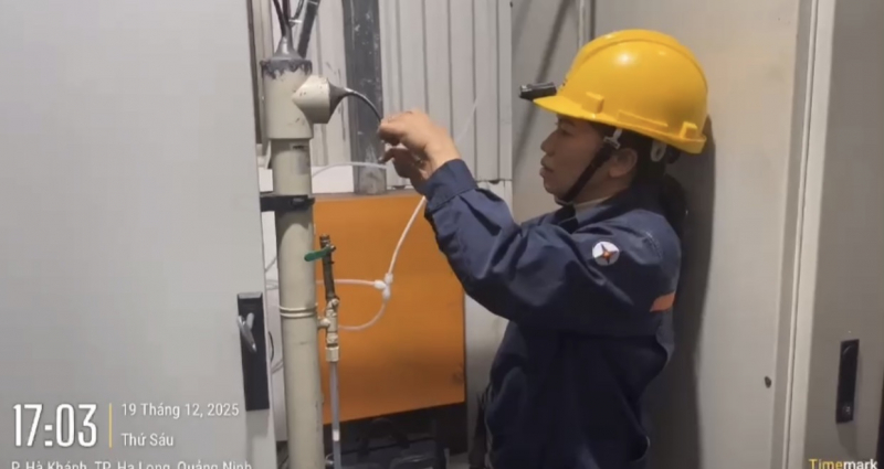 Khởi tố Chủ tịch, Tổng Giám đốc, Giám đốc, Kế toán, Trưởng phòng, đăng kiểm viên, cán bộ thú y, môi trường... - Ảnh 5