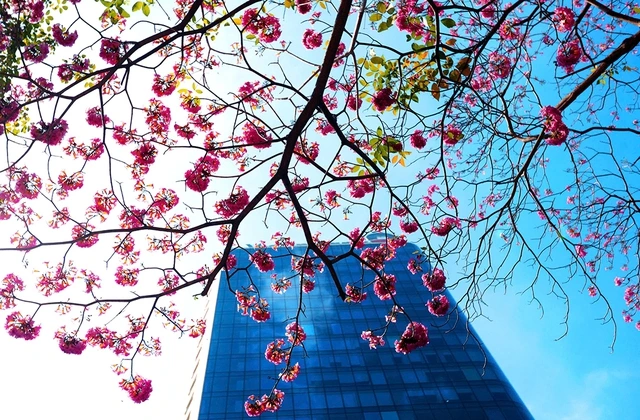 TP.HCM nắng nóng gia tăng - Ảnh 1