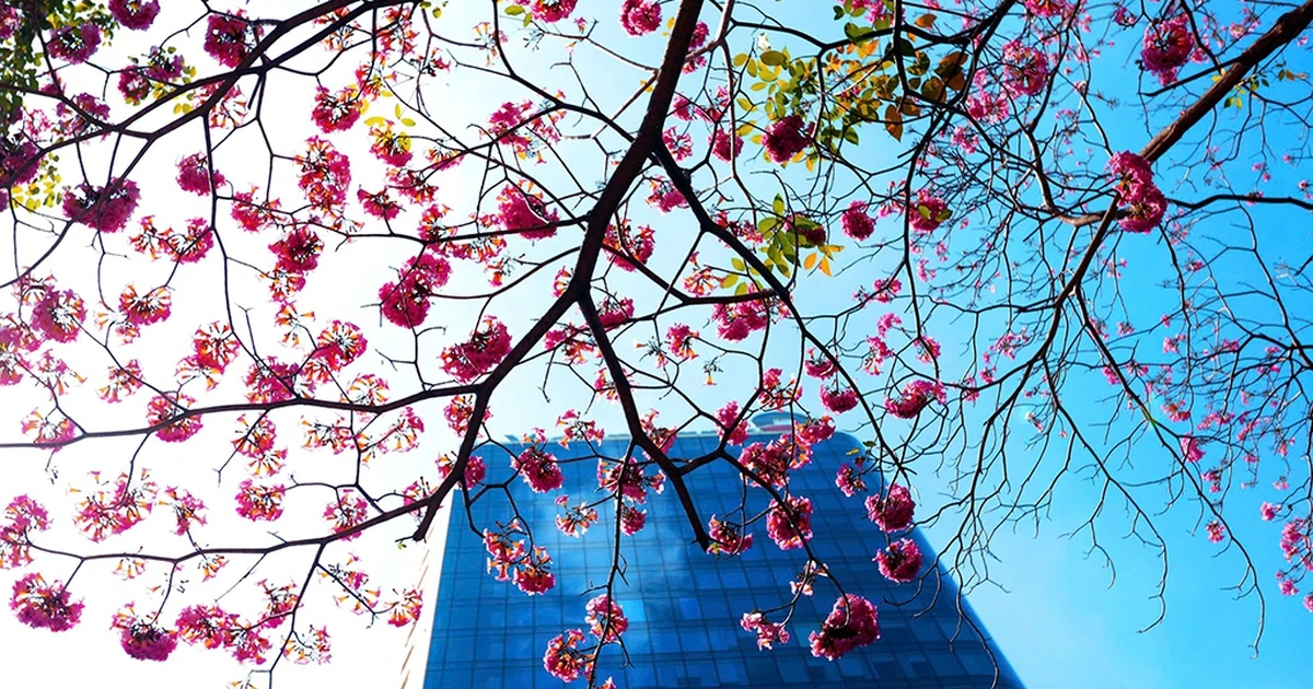 TP.HCM nắng nóng gia tăng