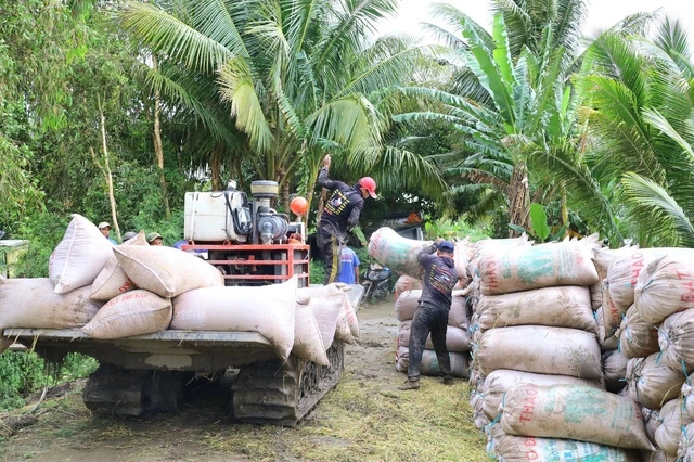 Vì sao 1 tấn lúa sử dụng gần 5.000 mét khối nước? - Ảnh 2