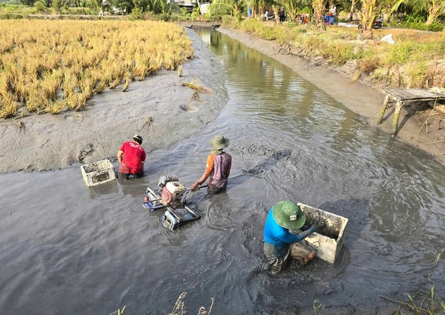 Cà Mau chuyển đổi 88 ha đất lúa sang cây trồng và nuôi thủy sản - Ảnh 1