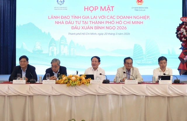 Gia Lai hứa hoàn tất thủ tục đầu tư vào khu công nghiệp chỉ 38 ngày - Ảnh 1