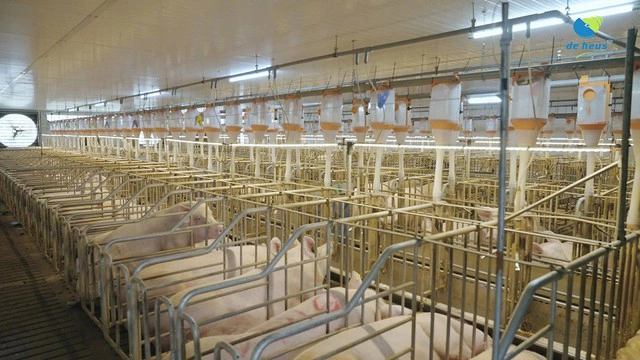 De Heus hoàn tất mua lại CJ Feed & Care, mở rộng chiến lược tại châu Á - Ảnh 5