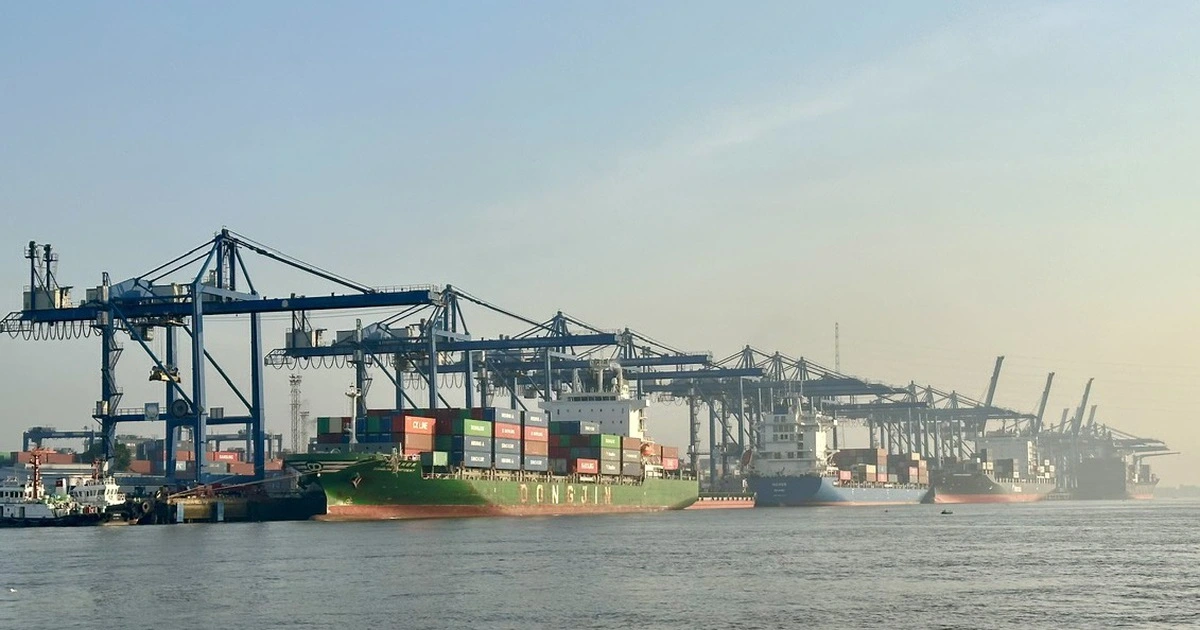 Cước tàu biển tăng thêm 4.000 USD, nhiều tuyến tạm ngưng