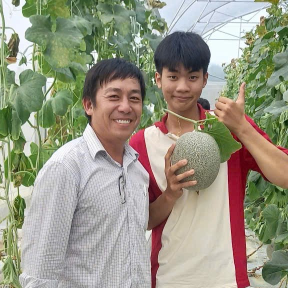 Kỹ sư xây dựng làm nông nghiệp công nghệ cao với mô hình trồng dưa lưới - Ảnh 3