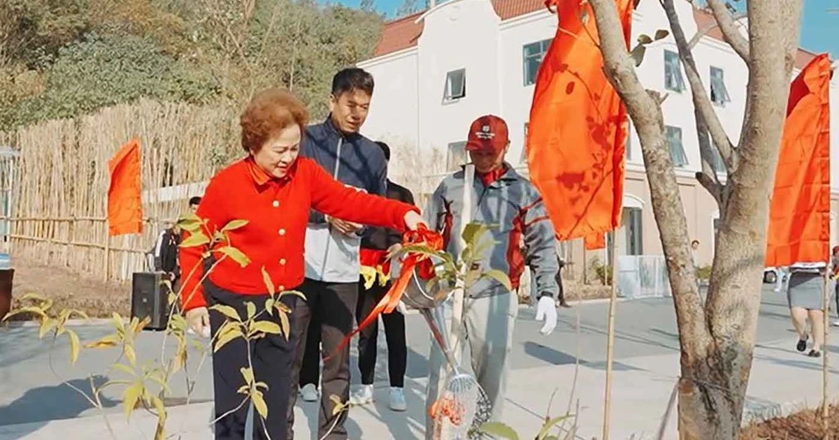 Tập đoàn BRG trồng gần 1,1 triệu cây xanh - Khẳng định trách nhiệm với cộng đồng