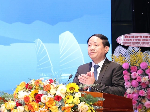 Loạt 'ông lớn' rót vốn, Gia Lai định hình cực tăng trưởng mới - Ảnh 1