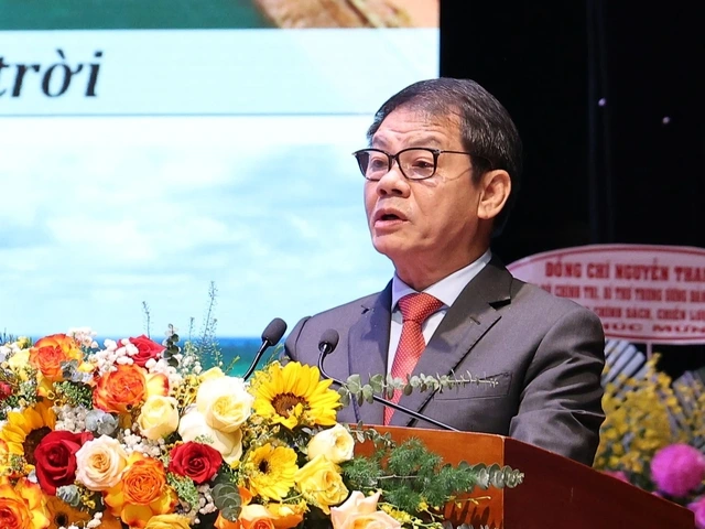 Loạt 'ông lớn' rót vốn, Gia Lai định hình cực tăng trưởng mới - Ảnh 3