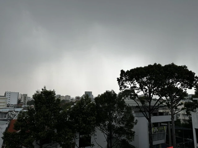 'Mưa vàng' giải nhiệt cho TP.HCM sau những ngày nắng nóng - Ảnh 1