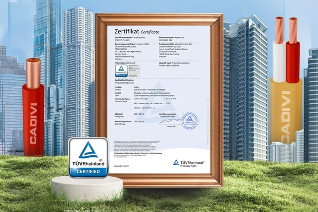 CADIVI đưa chuẩn an toàn châu Âu vào dây điện dân dụng tại Việt Nam - Ảnh 2