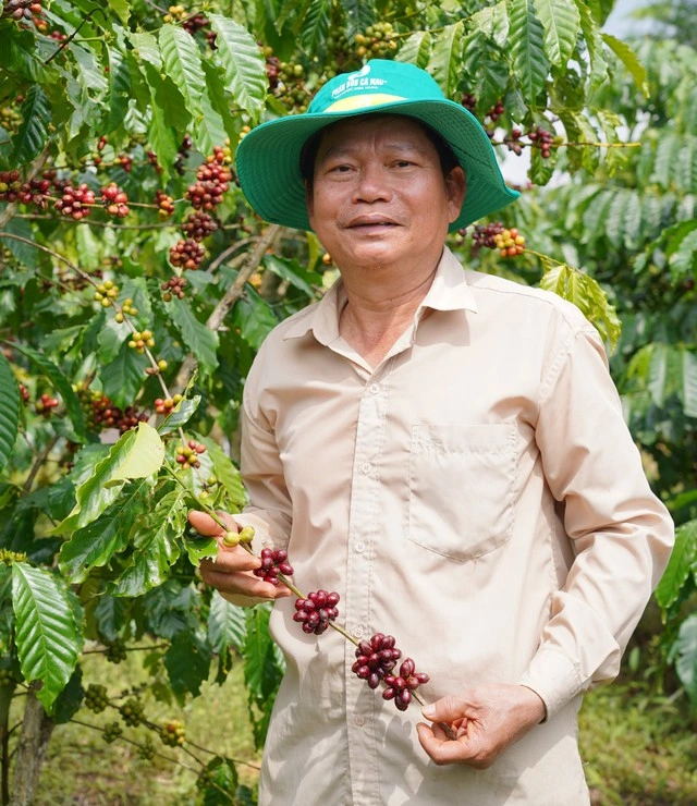 Cà phê Việt từng bước khẳng định vị thế tại thị trường quốc tế - Ảnh 1