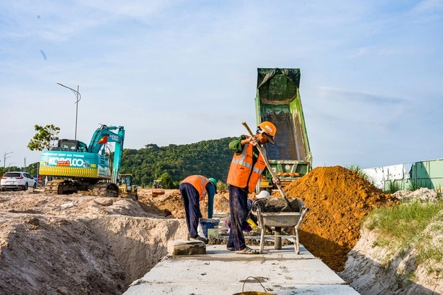 Thủ tướng: Không để các dự án trọng điểm, công trình phục vụ APEC thiếu năng lượng - Ảnh 1