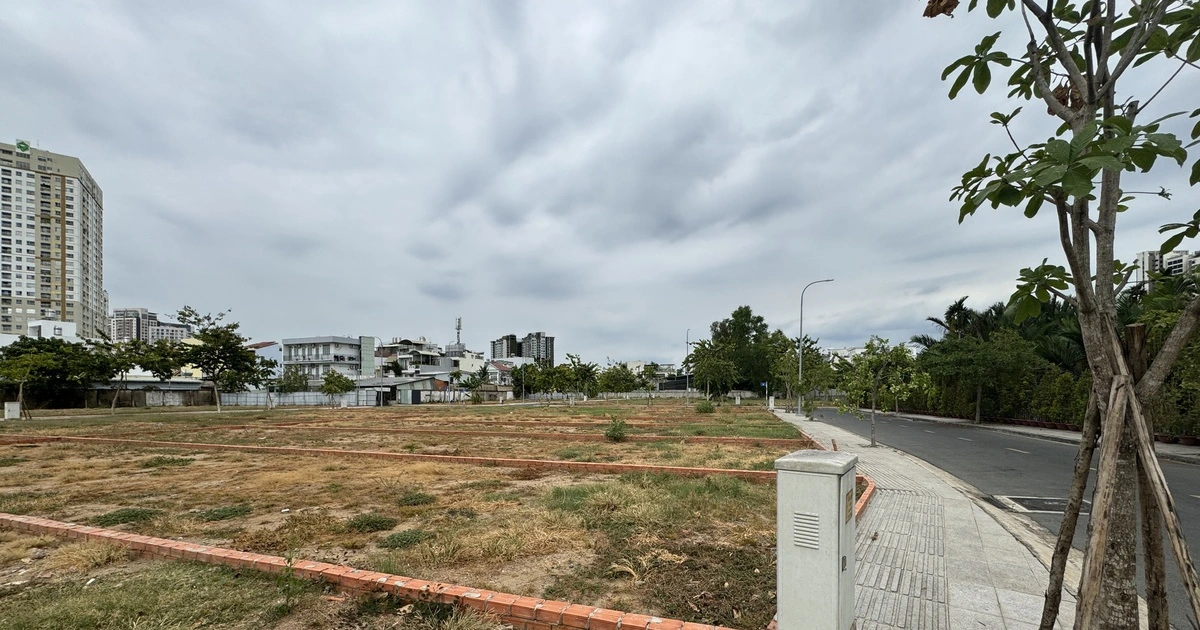 Đề xuất giảm diện tích tối thiểu khi tách thửa đất ở tại TP.HCM