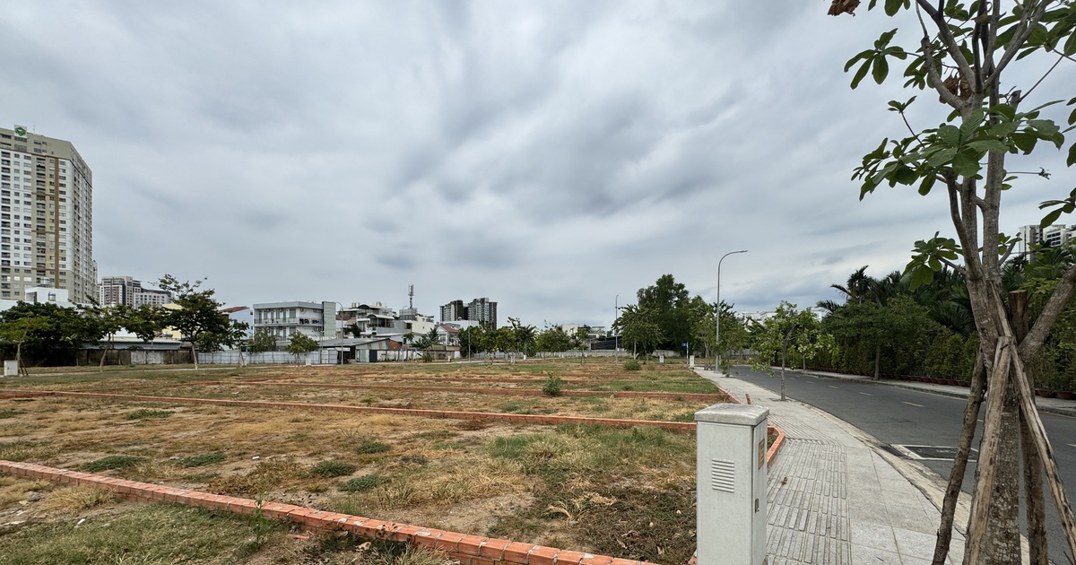 Quy định tách thửa đất làm sao không để tổ chức, cá nhân trục lợi