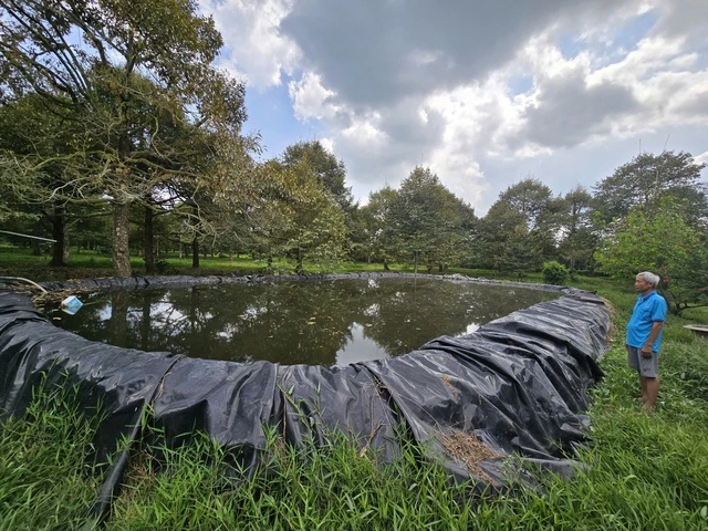 Vì sao 1 tấn lúa sử dụng gần 5.000 mét khối nước? - Ảnh 3